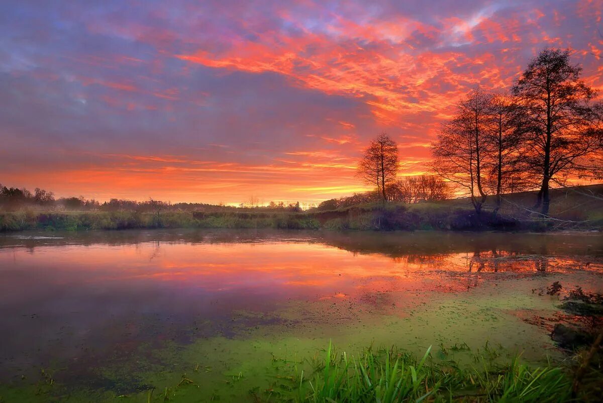 Румяная заря 559. Румяной зарёю пушкин. Утренняя заря. Ранний закат. Заря на реке.