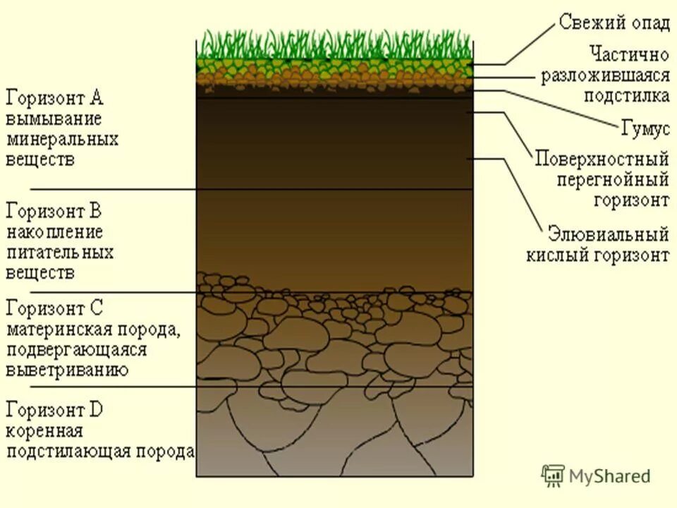 поверхностный грунт. корневая система вики яровой. земля коричневый. текстура земли. влияние почвы на литосферу.