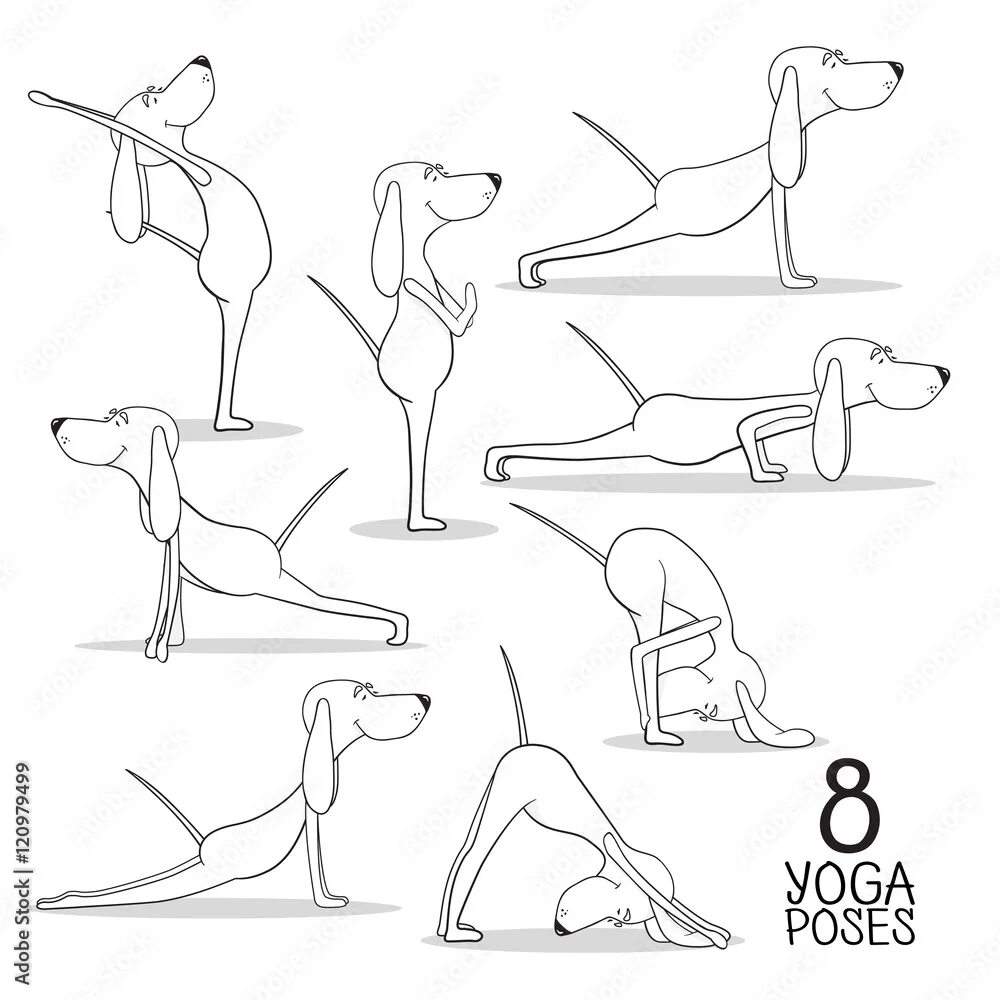 Dog positions