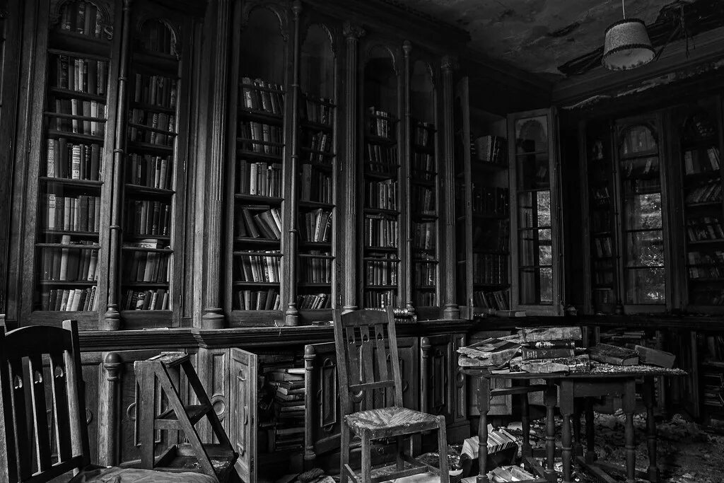 Lost library. The Library book. The Library. Lost in Library.