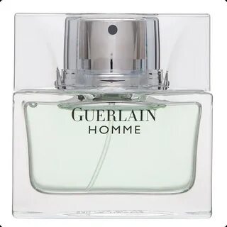 Guerlain homme