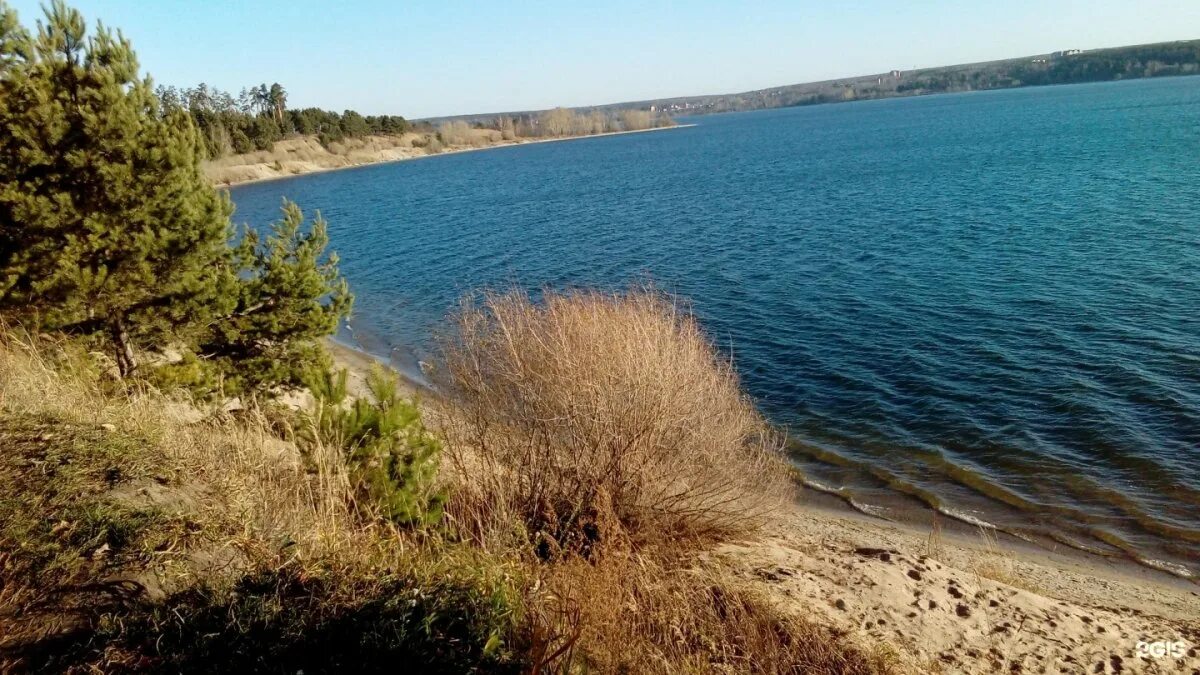 Парк бердская коса. Пляж бердская коса новосибирск. Городской парк бердская коса. Пляж бердская коса новосибирск. Заповедник бердская коса.