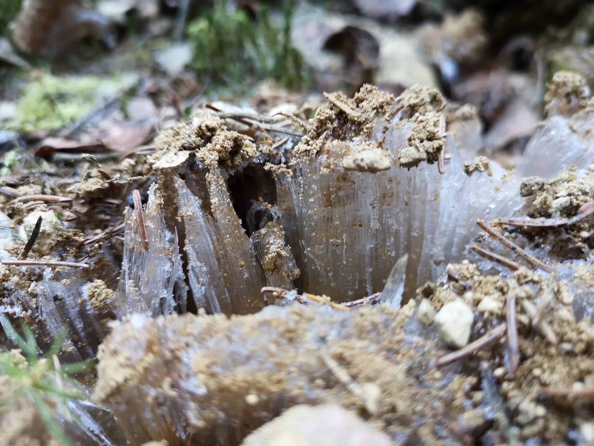 Биологи обнаружили удивительное явление. Промерзшая почва. Промерзший грунт. Замерзшая почва с камнями. Вымерзшая земля.