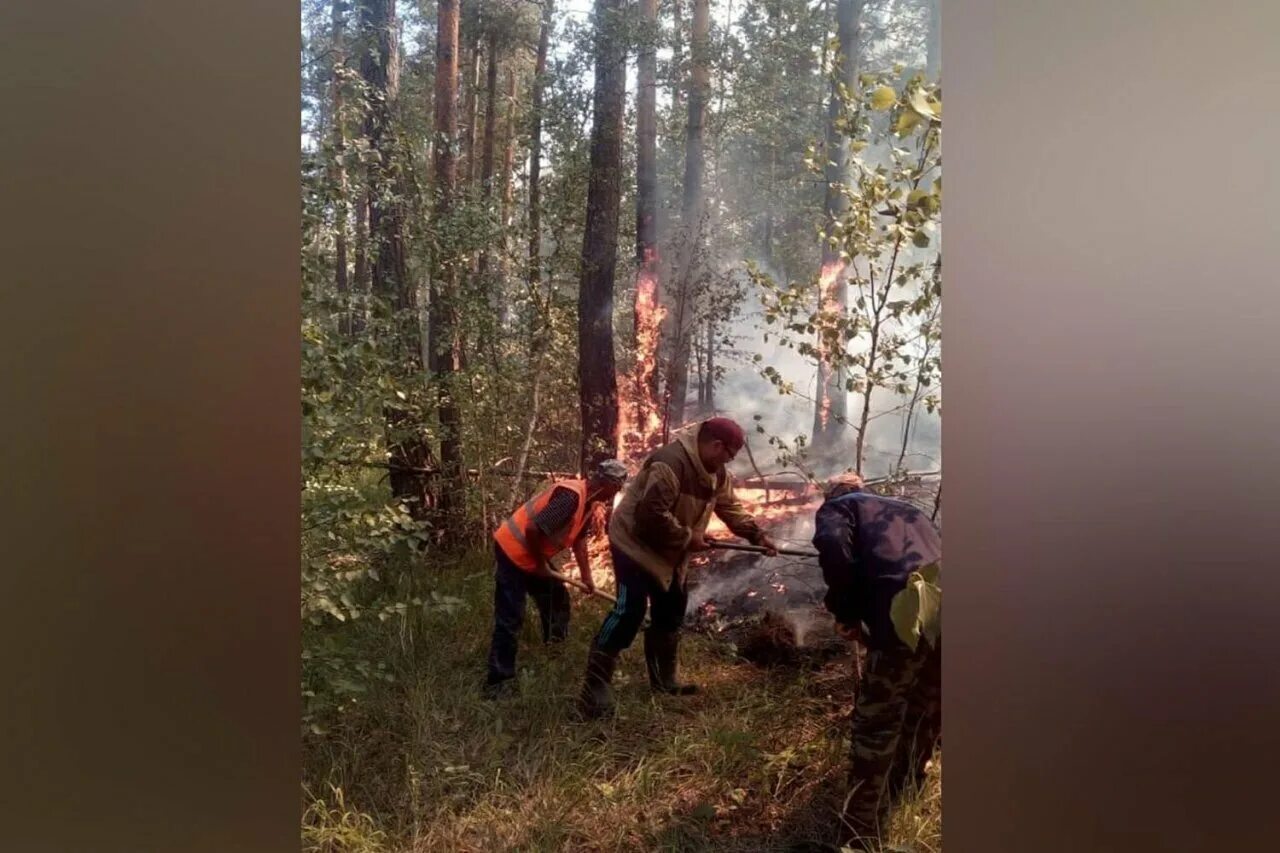 Лесные пожары в Бурзянском районе. Башкирия. Бюрзан пожар. Летом в лесу бушевали пожары. Пожар в Байназарово Бурзянский район. Слушать дикий урман