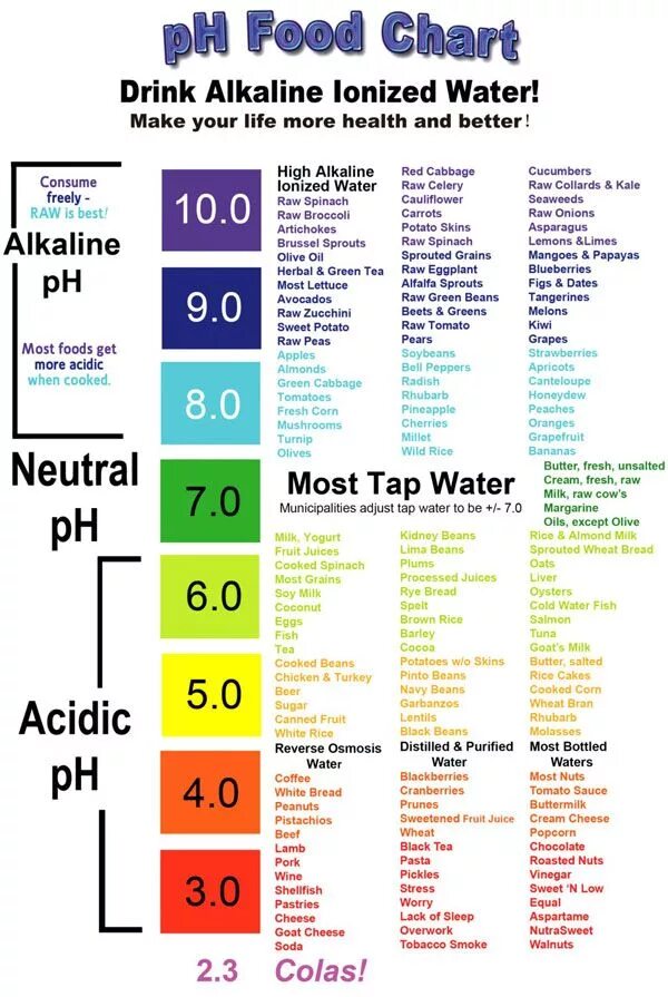 Alkaline перевод на русский. Alkaline код. Alkaline код. Продукты защелачивающие организм. Acid+alkaline.