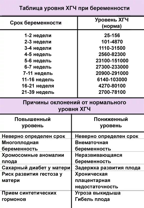 Сердцебиение плода на какой неделе можно услышать