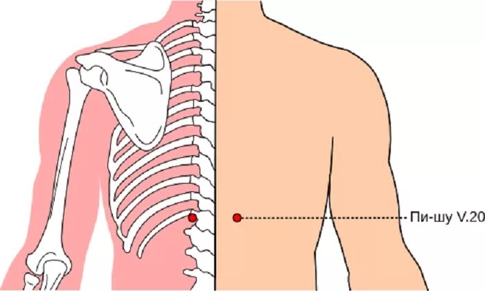 5 точка 18. Eva-quiala-@evaquiala. ягодицы девушек. фэй шу 13 точка. инста телочки.