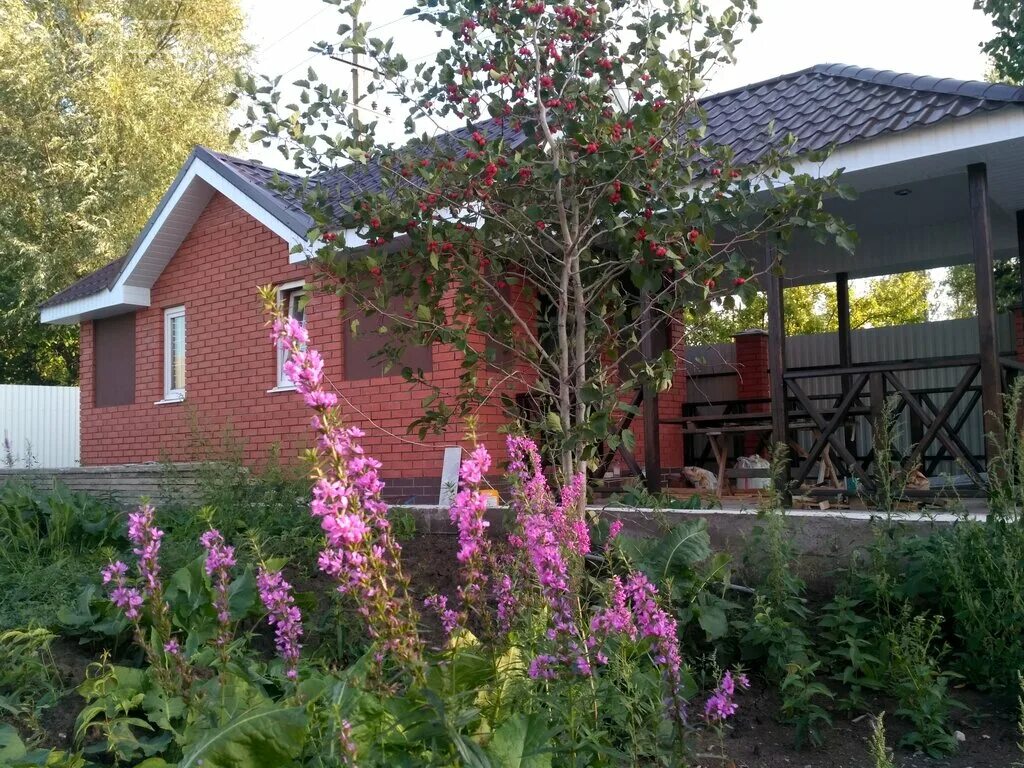 нпо жигулевские сады самара. жигулёвские сады самара 1997г. жигулёвские сады 37. жигулёвские сады сднт жигулёвские сады. самара жигулевские сады питомник.