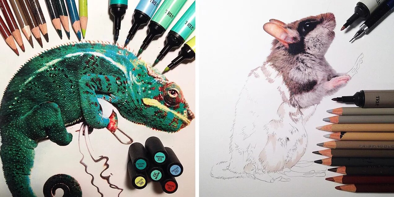 Рисунки фломастерами животные. Животные маркерами. Рисование маркерами животные. Животные маркерами. Нарисовать животных фломастерами.