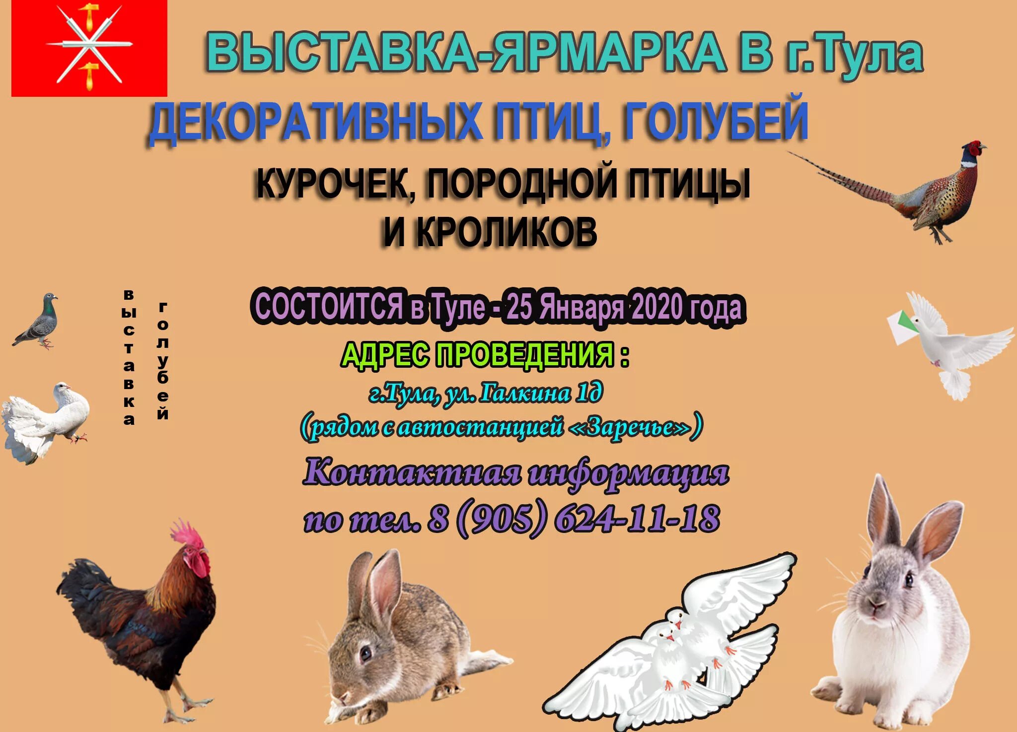 Ярмарка голубей в 2025 году. Выставка голубей в туле в 2025. голубиные выставки тула. ярмарка голубей в 2025 году в туле. голубиная ярмарка 2025.