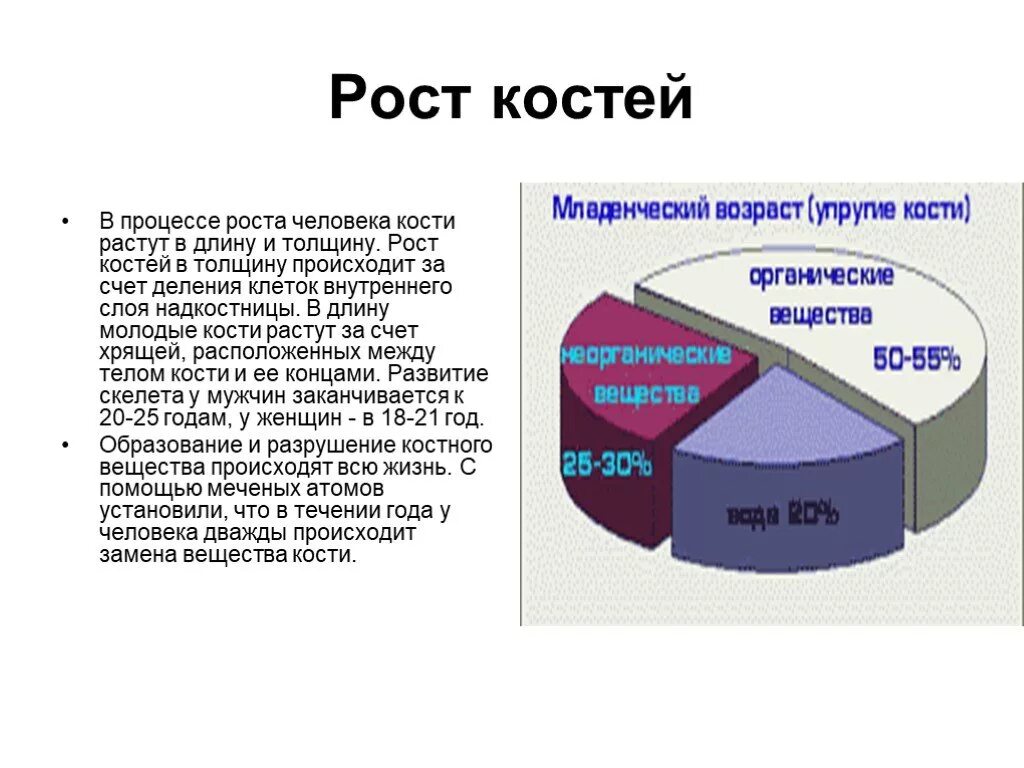 Почему кости растут. Рост костей в длину. Рост костей в толщину осуществляется за счет. Рост кости человека. За счет чего кость растет в длину и толщину.