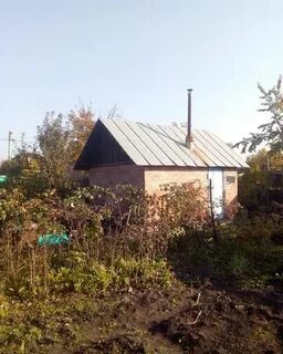Снт волгарь