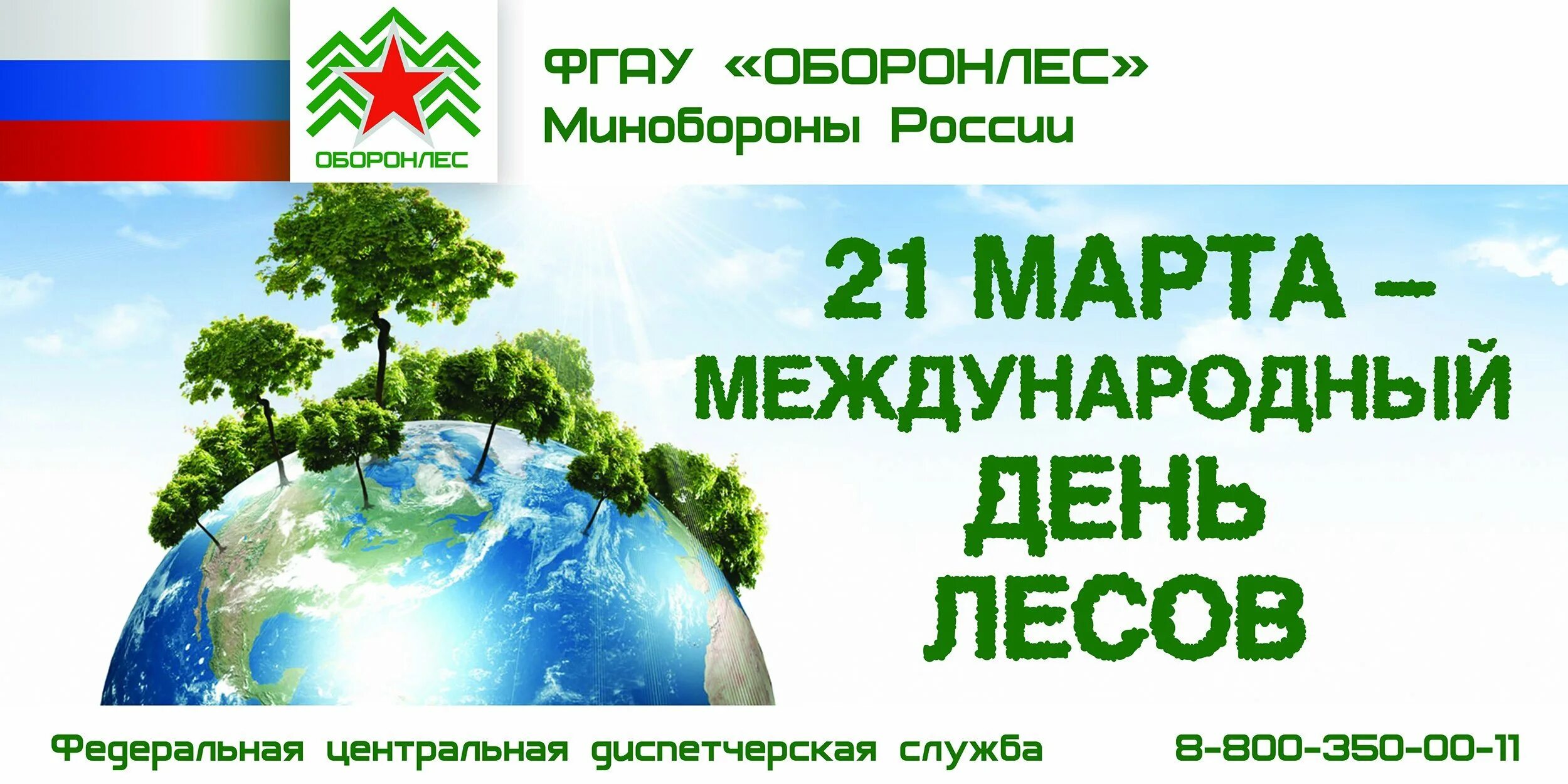 21 международный день леса. Международный день леса. Междуанродныйдень лесов. Международныйдерь лесов.