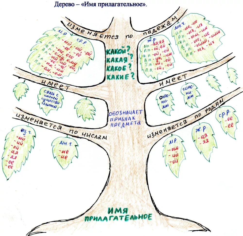 Древо часть 2. Дерево прилагательное. Дерево имя прилагательное. Ментальная карта на тему имя прилагательное. Ментальная карта дерево.