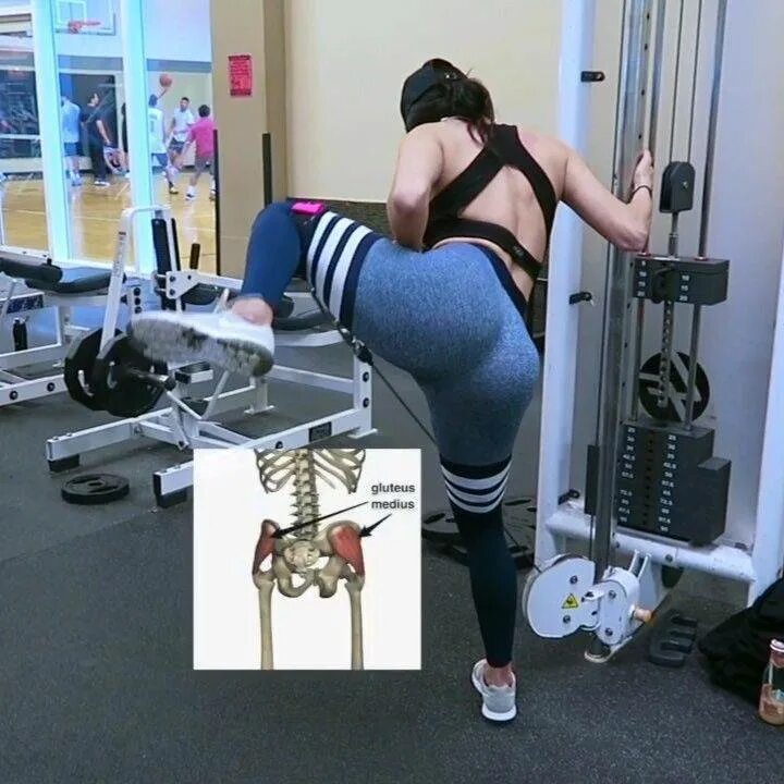 Ягодицы в зале для девушек. Тренажер ягодичные ps 117 glute isolator. необычные упражнения на ягодицы. попки в тренажерном зале. ягодицы в тренажерном зале.