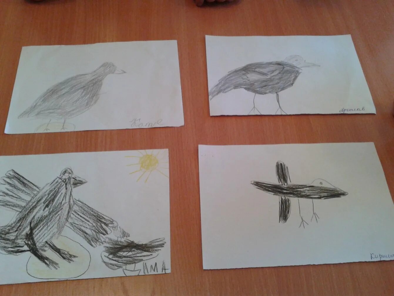Рисование птицы в подготовительной группе. Рисование перелетные птицы. Рисование перелетные птицы подготовительная группа. Рисование перелетные птицы старшая группа. Рисование грача в старшей группе