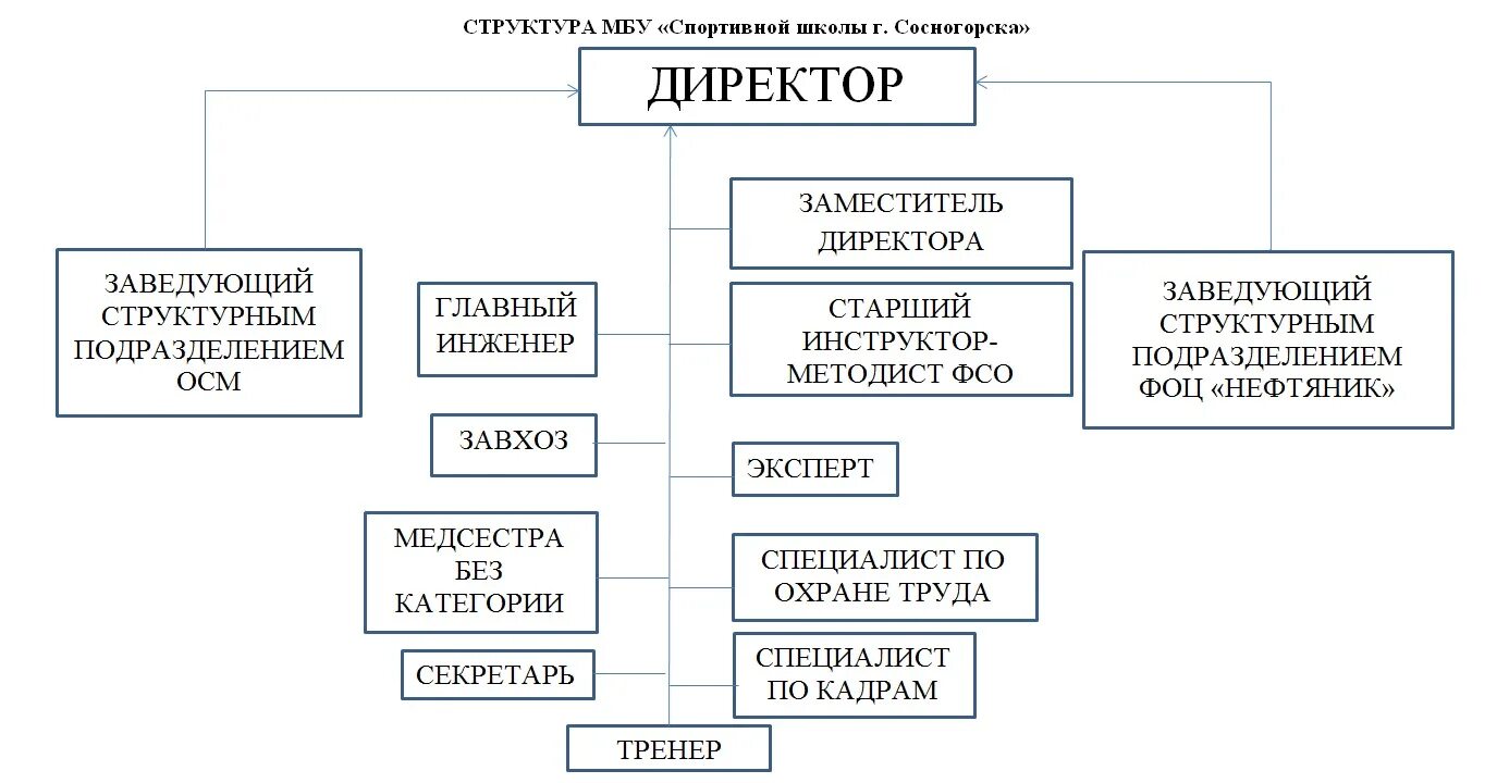 Управление спортивным учреждением. Структура физкультурно спортивной организации. Организационная структура физкультурно-спортивной организации. Иерархия спортивных организаций в России. Организационная структура футбольной школы.