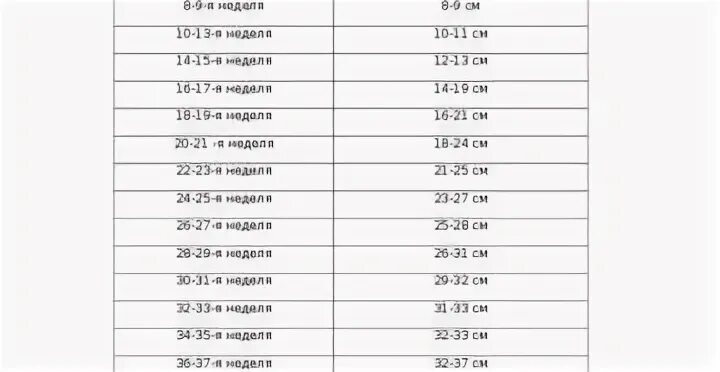 23 недели беременности размеры