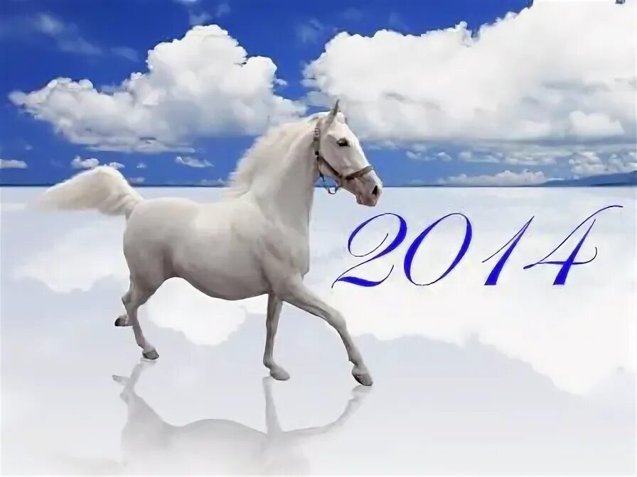 2014 год какого цвета. Год лошади 2014. 2014 Год. 2014 Год это год. 2014 Год какой лошади.