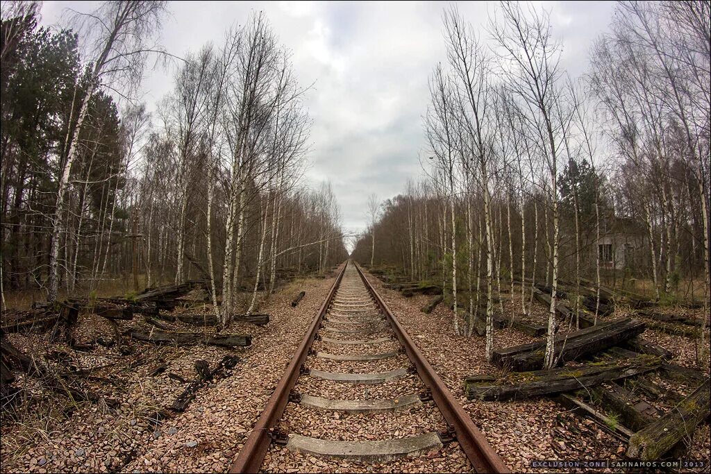 Припять чернобыль чаэс зона отчуждения. Зона отчуждения дороги. Припять жд станция. Чернобыль пустой город. Зона отчуждения чернобыль лес.