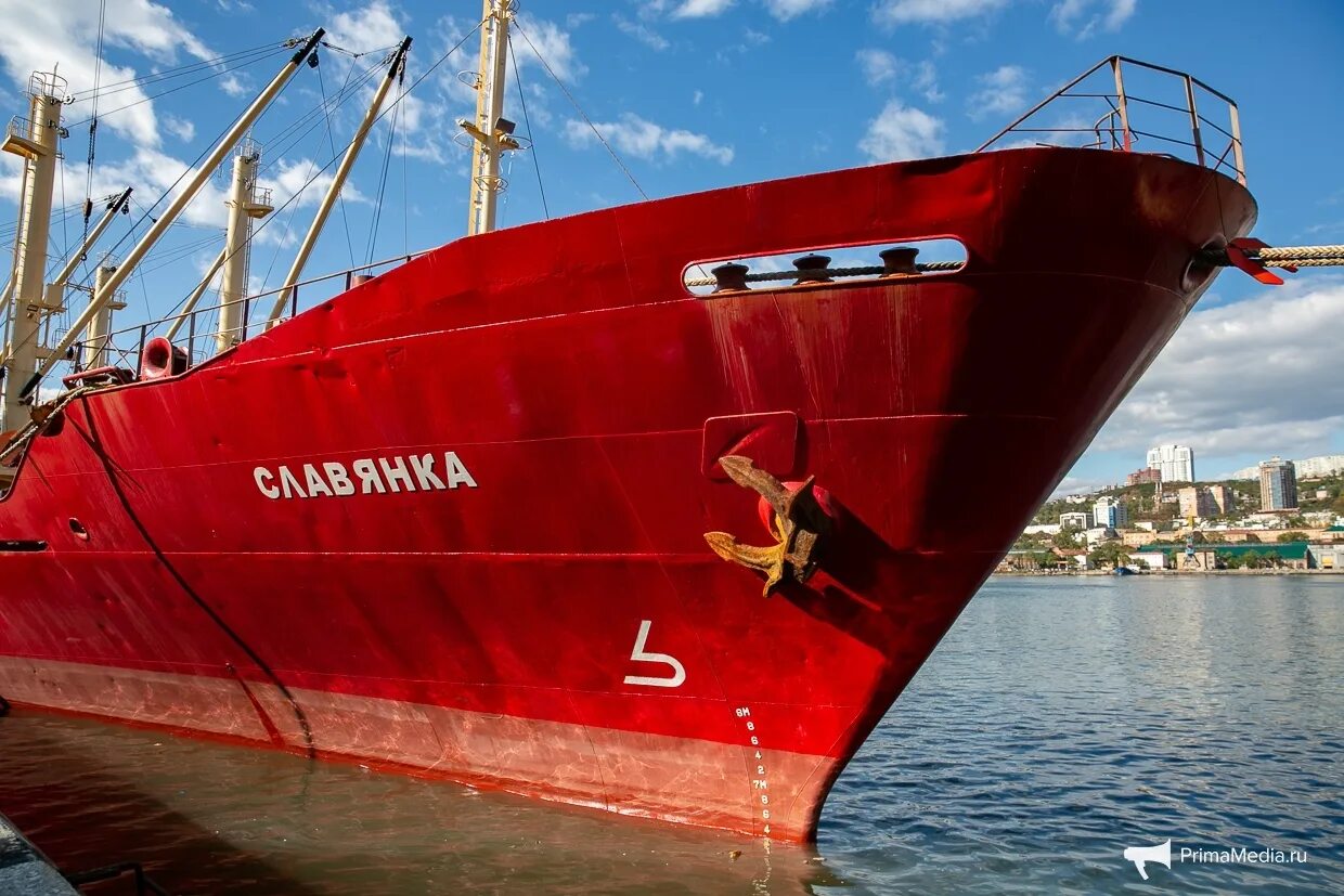 Сайт далькомхолод. Далькомхолод. востокморсервис владивосток. далькомхолод владивосток.