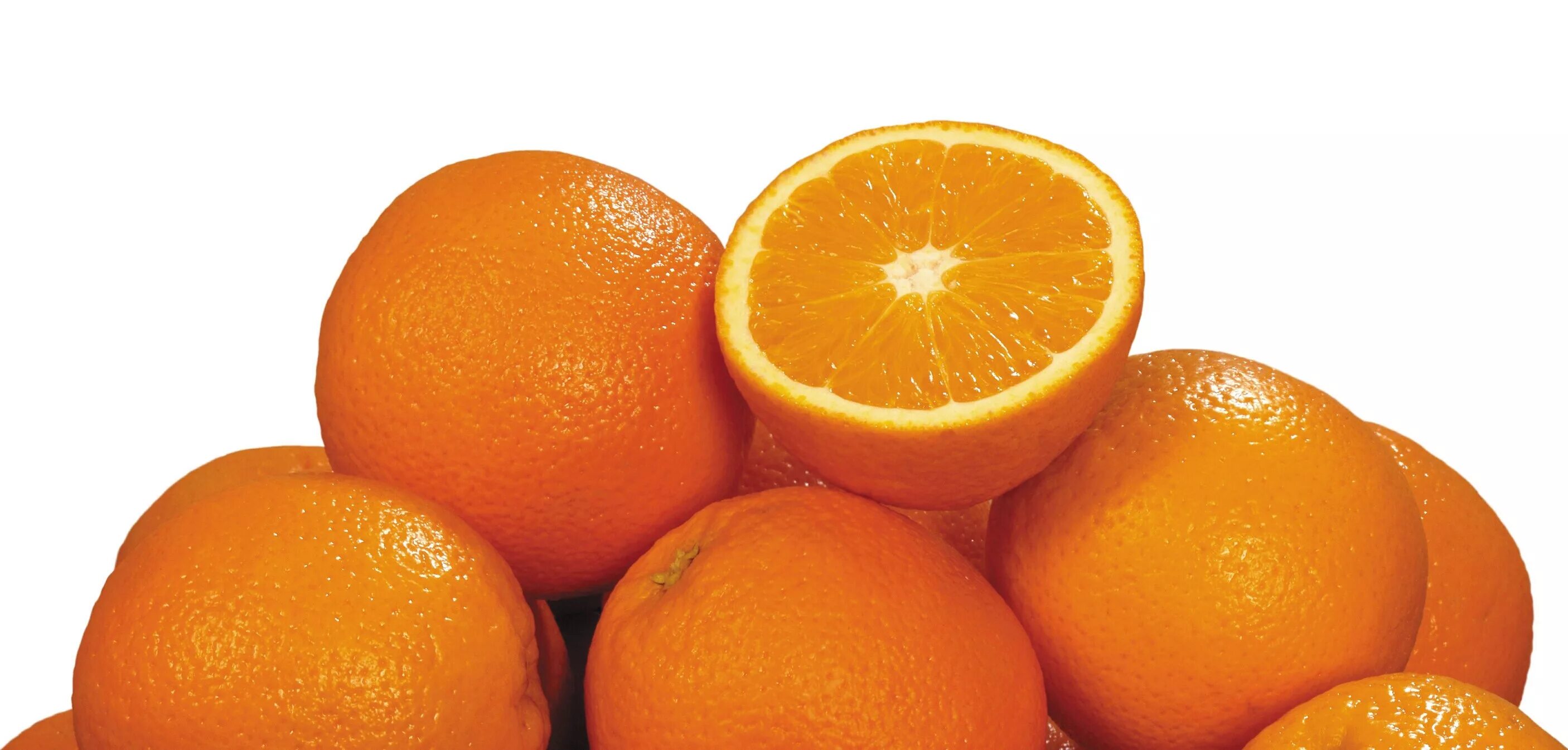 Кошка с апельсинами. Апельсин эстетика. Апельсины на рабочий стол. Мандарин гладкий. Мур апельсин.