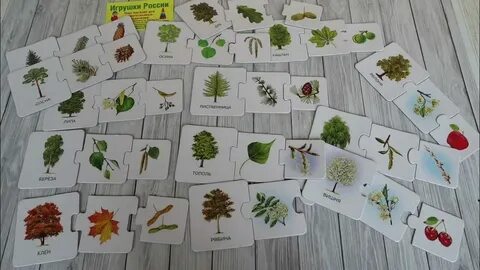 Игра какое дерево цель