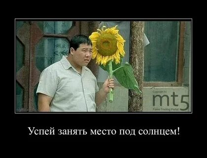 Заняли свое место рядом с