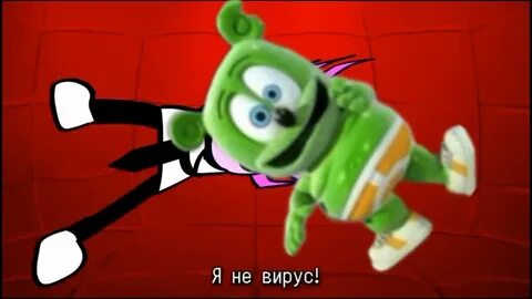 Что такое кинито пэт