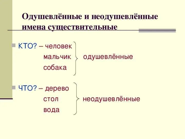 Каким признаком имени существительного является одушевленность