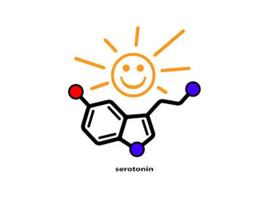 Эндорфин гормон счастья. Серотонин и Эндорфин. Серотонин радость. Эндорфин рисунок. Эндорфины мозга