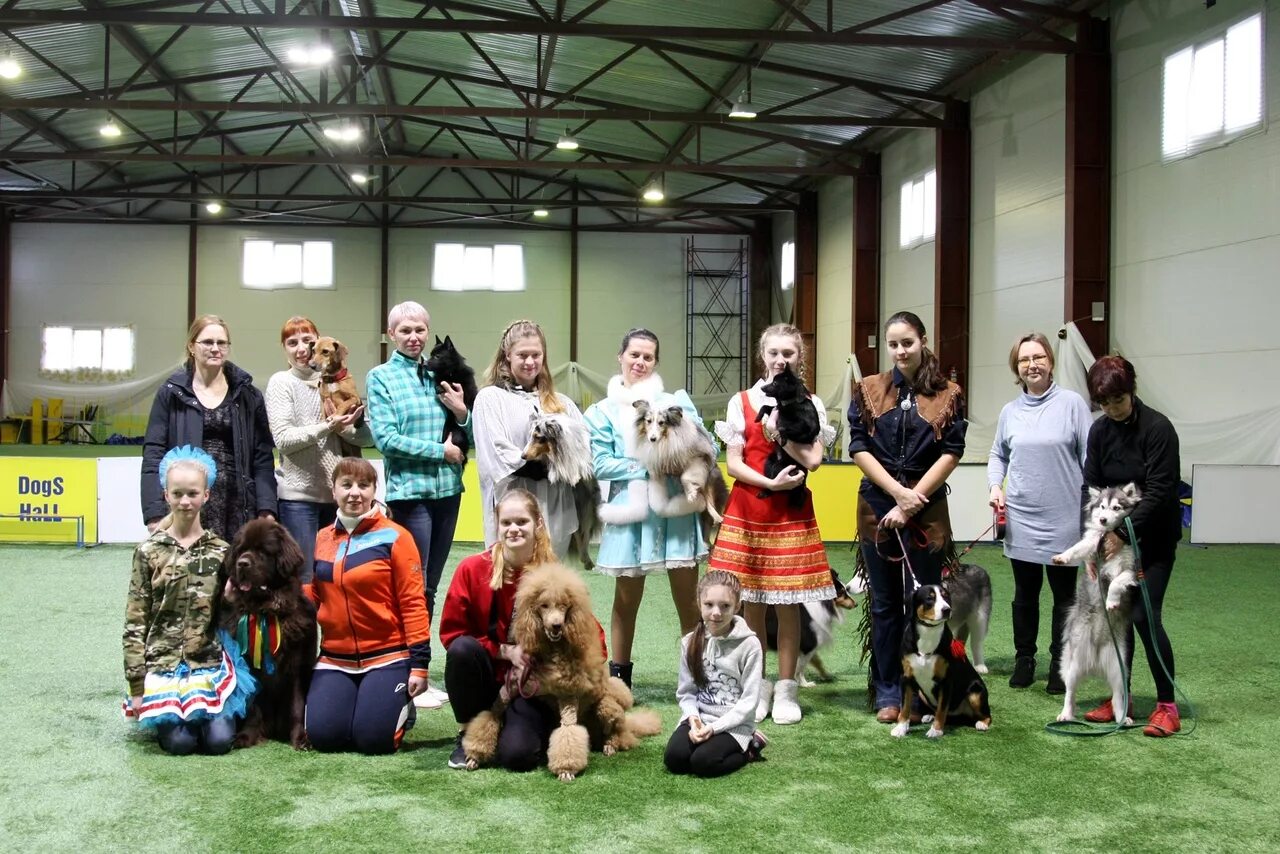 Dogs hall. Дог холл. догс холл санкт-петербург. dog hall новосибирск. hall with dogs.