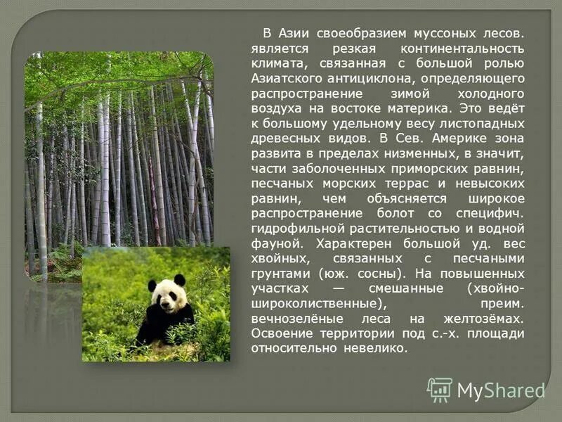 Переменно влажные муссонные леса растения и животные. Муссонных лесов деятельность человека. муссонные леса животные. муссонных смешанных лесов климат. характеристика муссонных лесов.