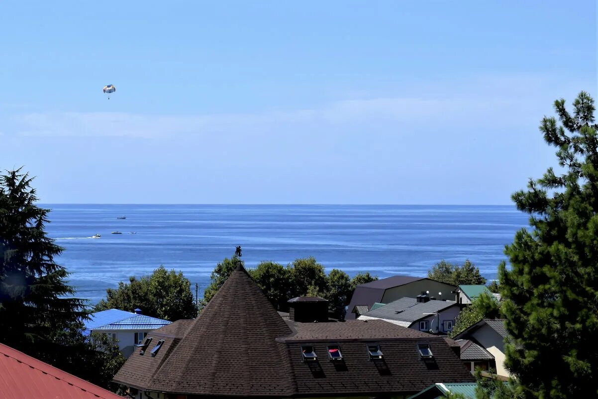 отель тихий рай лазаревское. чудо сафари сад 2023 лазаревское официальный. тихий рай. отель тихий рай лазаревское официальный сайт. гостевой дом тихий сосед.