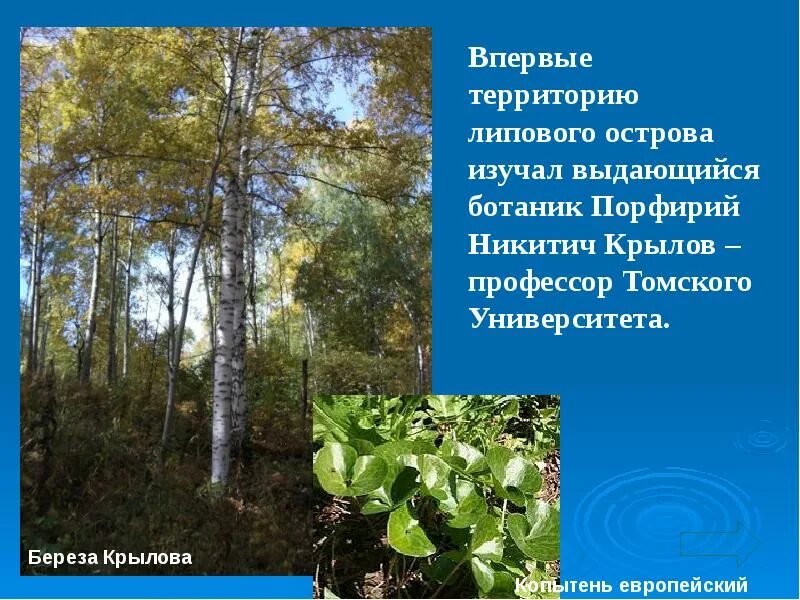 СНТ Поле чудес, 14 соток, в собственности находится в Тюмени