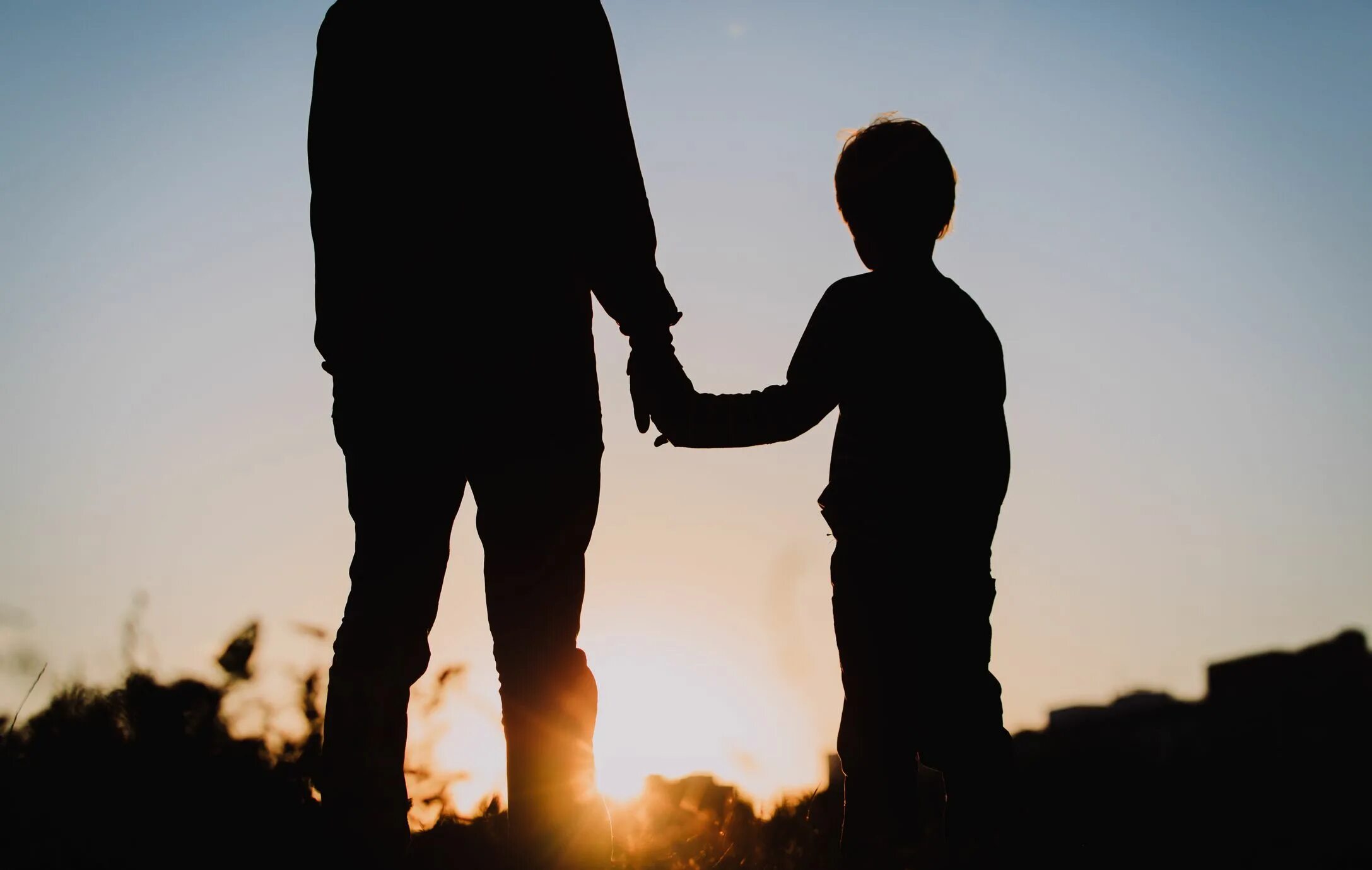 Father said to me. Неполная семья. Отец и сын. Отцы и дети. Мужчина с ребенком со спины.