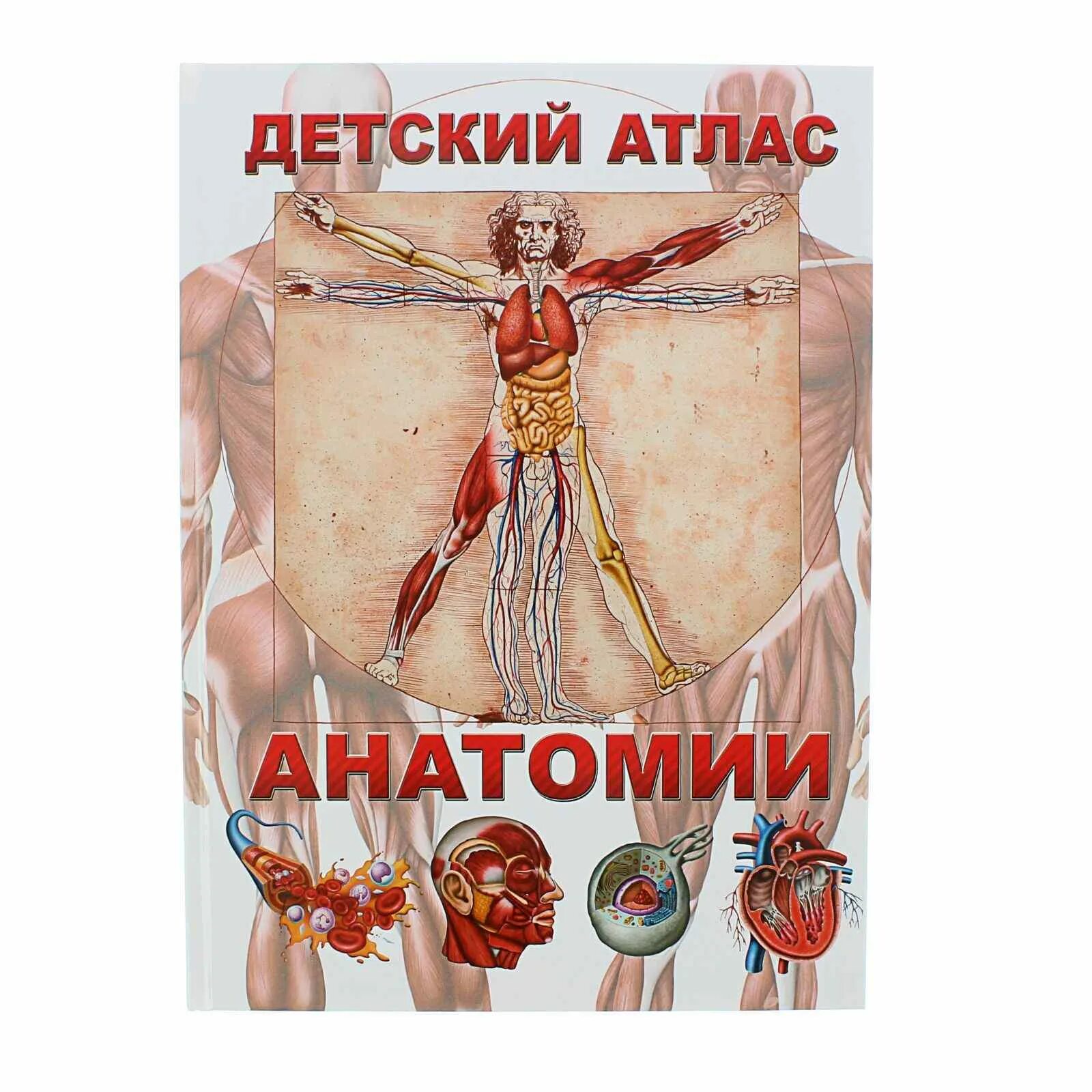 Анатомия детская книга. Детский атлас анатомии гуиди винченцо. гуиди в. &quot;анатомия человека. энциклопедия для детей&quot;. детский атлас анатомии. детский атлас анатомии человека.