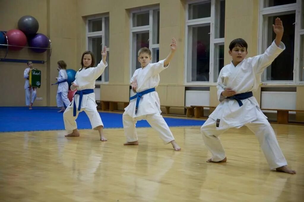 Спортклуб раменки каратэ. Раменки спорткомплекс. Улица раменки 19. Секция тхэквондо без лиц. Спортклуб раменки ул раменки 19.