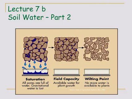 Water part