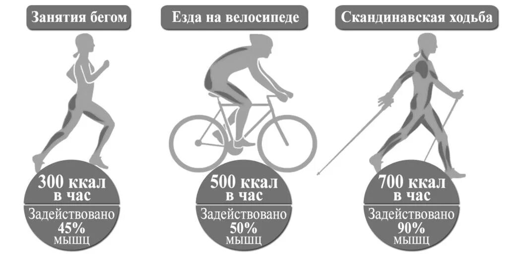 Сколько калорий сжигается при езде на велосипеде. Вело тренировки на сжигание калорий. Сколько калорий тратится при езде на велосипеде. Калории сжигаемые при езде на велосипеде.