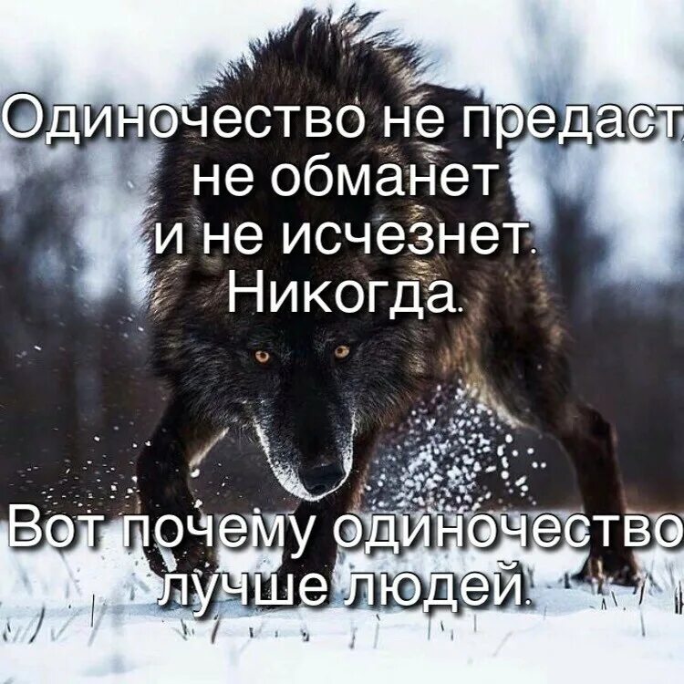 Не предам не обижу. Одиночество лучше чем. Одиночество не предаст. Высказывания про одиночество. Одиночество никогда не предаст.