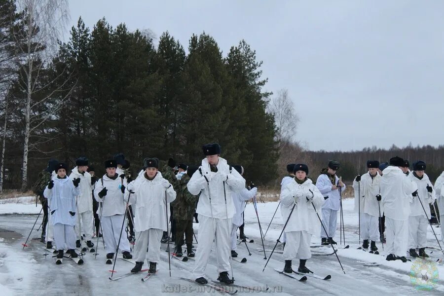 Нижегородское гбоу