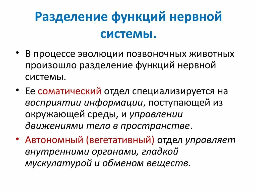 Какова роль нервной системы. Разделение функций нервной системы. Нервная система функции системы. Классификация нервной системы по функциям. Деление нервной системы на отделы.