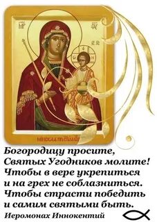 Любовь веры читать