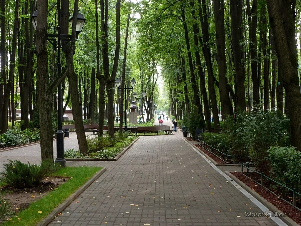 Москва бабушкинский парк