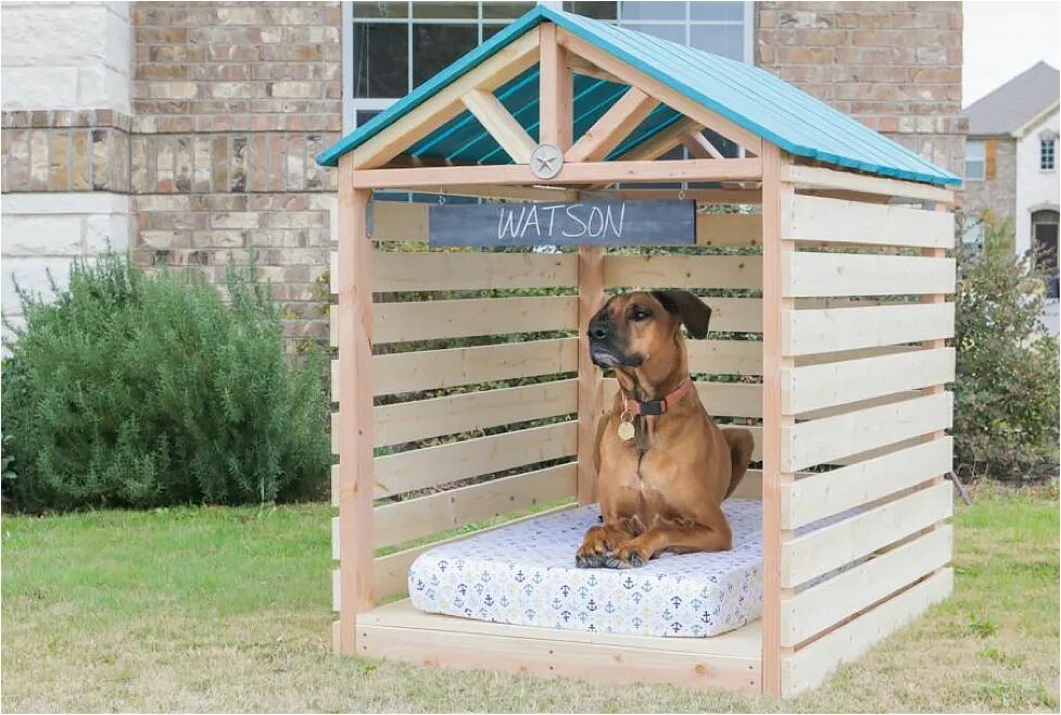 New dog house. Навес для собаки. Будка для собаки с навесом. Будка для большой собаки. Беседка для собаки.