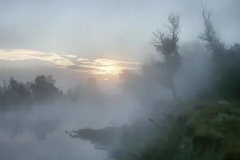 Туман таял и уже видно было как