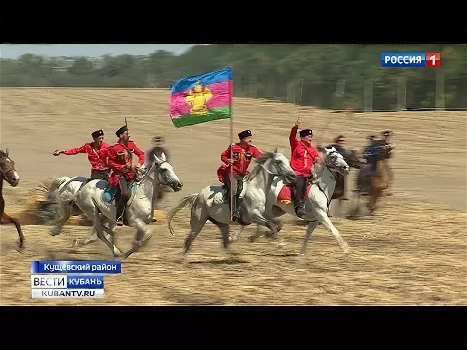 Кущевская Кавалерийская атака. Кущевская Конная атака. Кущёвская битва. Кущёвская атака Казаков.