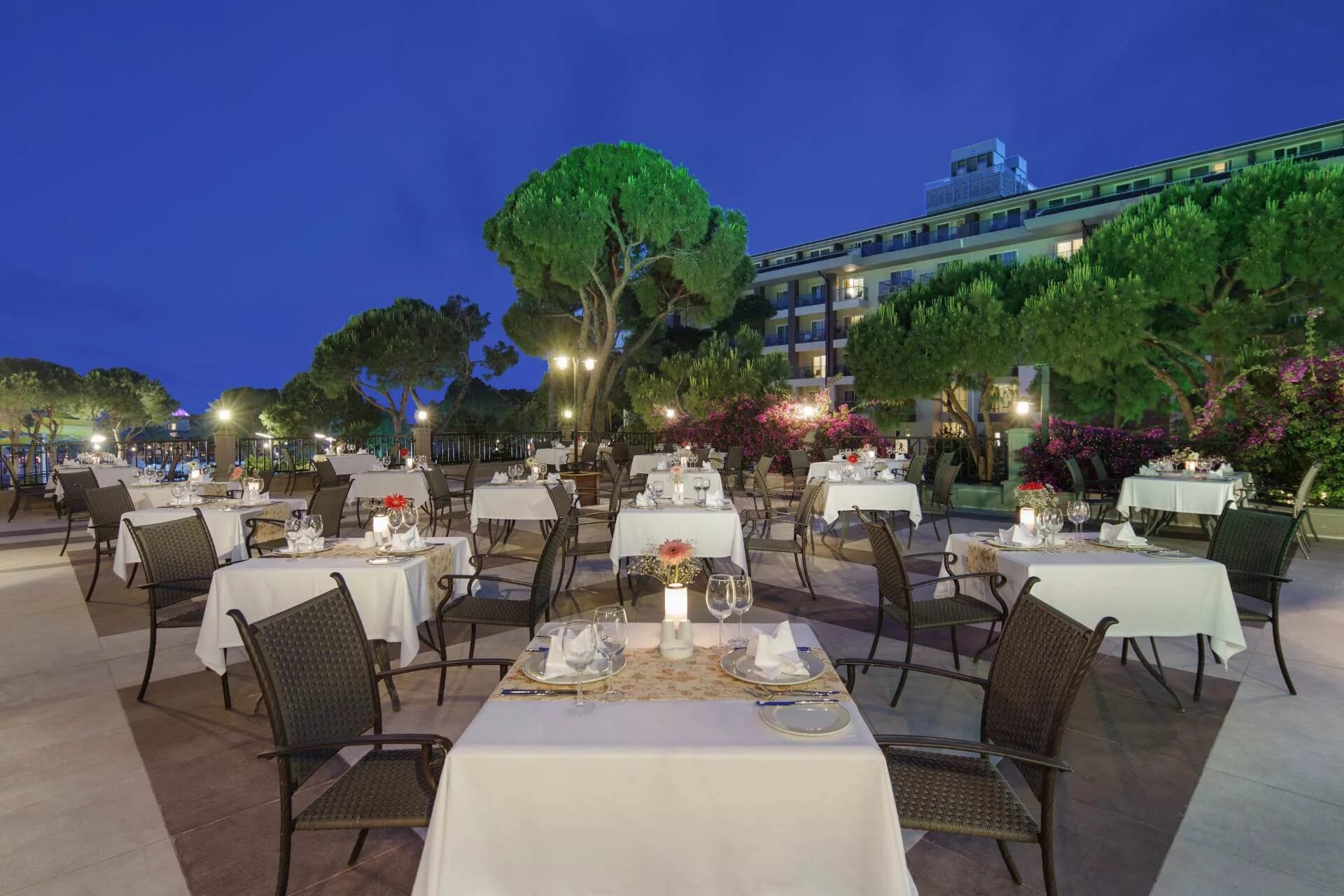 Айша белек. Отель papillon ayscha 5. papillon ayscha белек. papillon ayscha hotel турция. papillon ayscha hotels resort &amp; spa 5*.