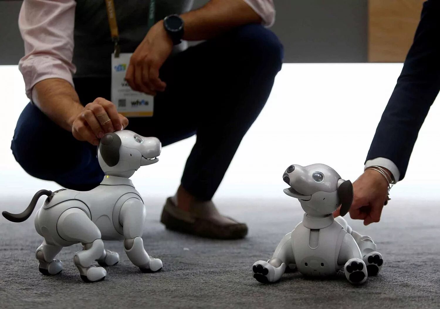 Robot de jole by gaspr. Собачка Aibo корпорации Sony. 2018. Японская собака робот. Робот собака с искусственным интеллектом. Робот собака большая.